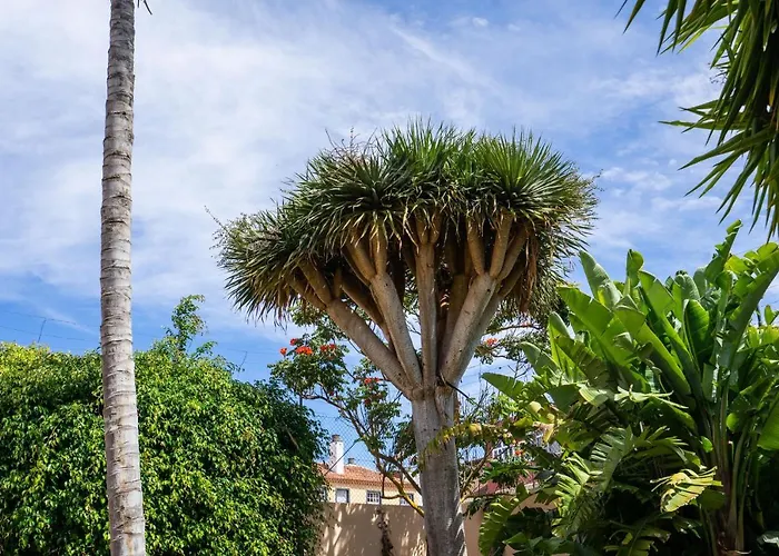 Espectacular Casa Con Jardin \