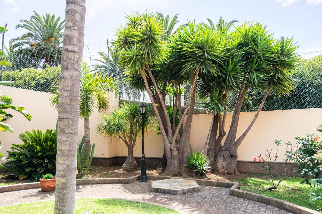 Espectacular Casa Con Jardín La Casa De Nena La Laguna (Tenerife)